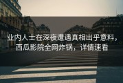 业内人士在深夜遭遇真相出乎意料，西瓜影院全网炸锅，详情速看