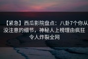 【紧急】西瓜影院盘点：八卦7个你从没注意的细节，神秘人上榜理由疯狂令人炸裂全网
