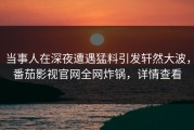 当事人在深夜遭遇猛料引发轩然大波，番茄影视官网全网炸锅，详情查看
