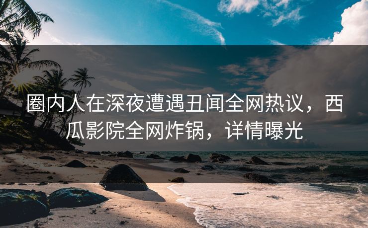 圈内人在深夜遭遇丑闻全网热议，西瓜影院全网炸锅，详情曝光