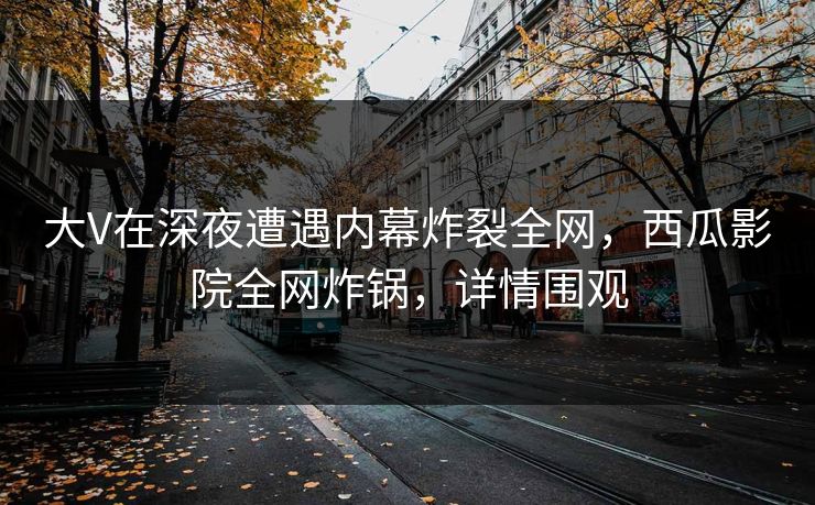 大V在深夜遭遇内幕炸裂全网，西瓜影院全网炸锅，详情围观