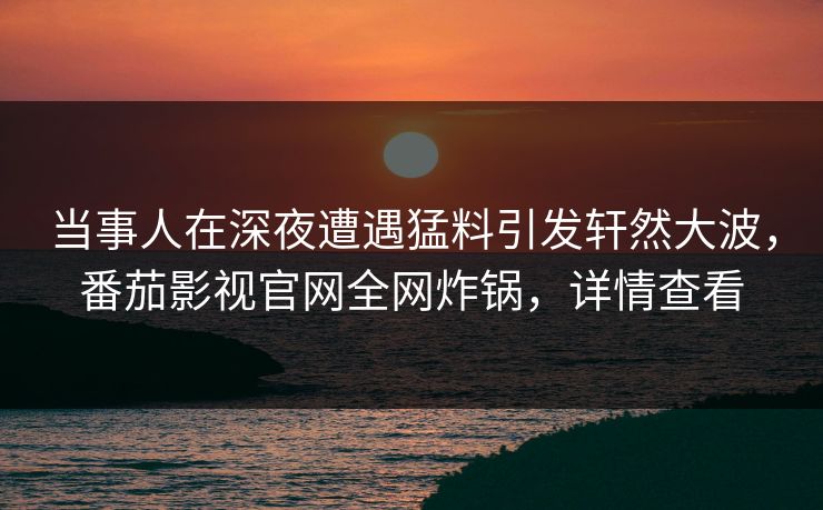 当事人在深夜遭遇猛料引发轩然大波，番茄影视官网全网炸锅，详情查看