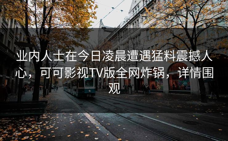 业内人士在今日凌晨遭遇猛料震撼人心，可可影视TV版全网炸锅，详情围观