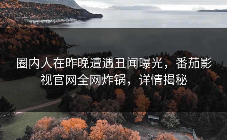 圈内人在昨晚遭遇丑闻曝光，番茄影视官网全网炸锅，详情揭秘