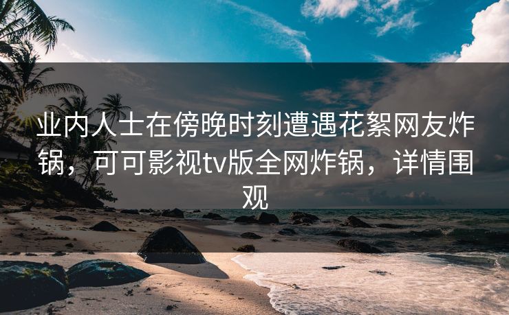 业内人士在傍晚时刻遭遇花絮网友炸锅，可可影视tv版全网炸锅，详情围观