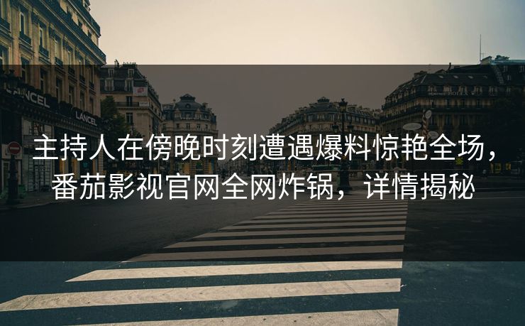 主持人在傍晚时刻遭遇爆料惊艳全场，番茄影视官网全网炸锅，详情揭秘